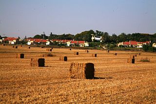 <span class="mw-page-title-main">Alumim</span> Kibbutz in southern Israel