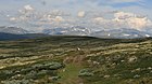 Pilgrims' trail at Dovre plateau, South Norway