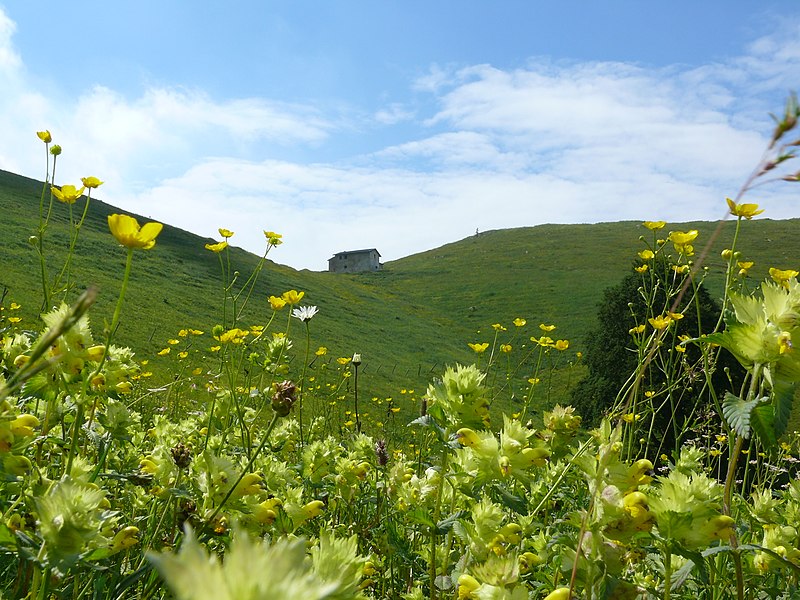 File:Pisogne, Province of Brescia, Italy - panoramio.jpg