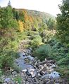 (3) Stream banks covered with vegetation down to water's edge.