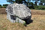 Vignette pour Dolmens de Kervignon