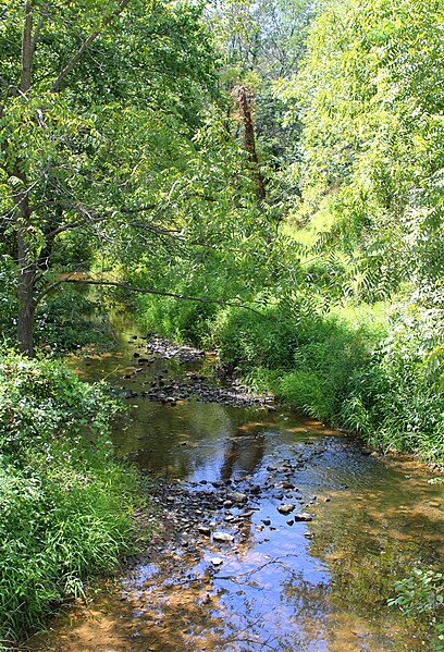 File:Plum Creek looking downstream.JPG