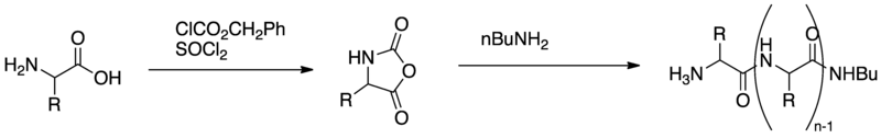 File:Poly-leucine Synthesis5.png