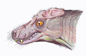 Porosteognathus1DB.jpg