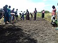 Preparing the garden