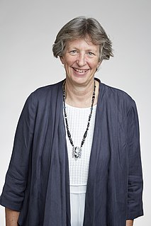 Katharine Cashman Professor of Volcanology at the University of Bristol