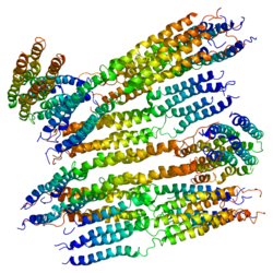 Белок APOA2 PDB 1l6l.png