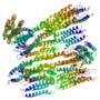 Thumbnail for Apolipoprotein A-II