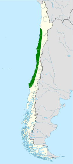 Distribución geográfica del canastero chileno