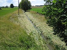 Buffer strips along grassed thalweg