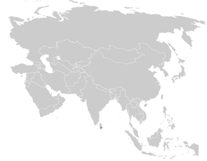 Pycnonotus penicillatus distribution map.png