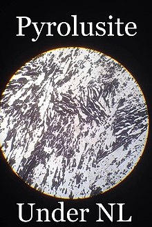 A microscopic image of Pyrolusite Pyrolusite under normal light.jpg