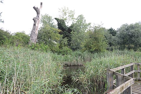 Ramsey Heights nature reserve