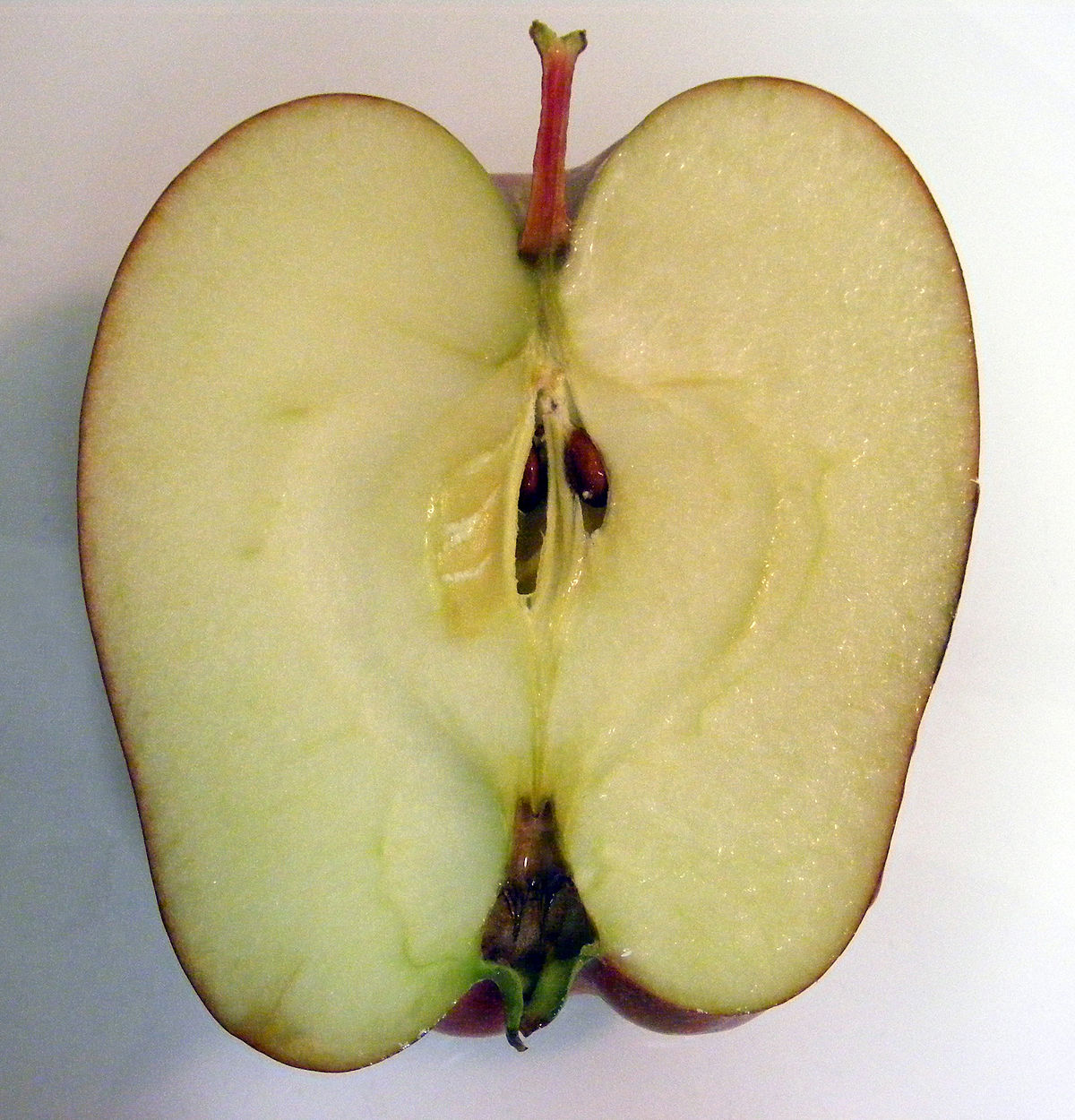 https://upload.wikimedia.org/wikipedia/commons/thumb/d/d6/Red_delicious%2C_half.jpg/1200px-Red_delicious%2C_half.jpg