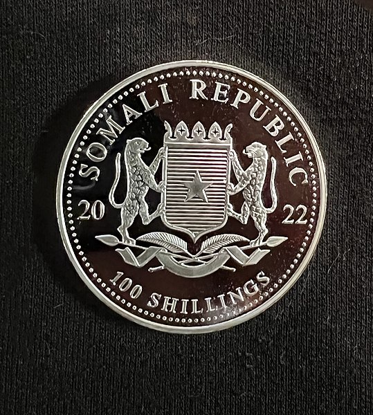 File:Reverse 2022 Somalia 1 oz Silver coin Leopard.jpg