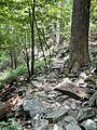 Rock covered trail surface on the Ole Ranger Trail at Patapsco Valley State Park