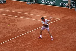 Roland Garros 2015 - Stan Wawrinka (23415541101)