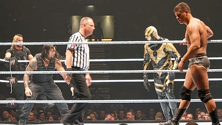 Tập_tin:Rollins_&_Reigns_vs_Rhodes_brothers.jpg