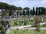 Rome Rose Garden