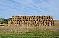 * Nomination Straw-bales in a field, along road D 16, near Ronsenac, Charente, France. --JLPC 15:03, 20 October 2014 (UTC) * Promotion Nice.--Famberhorst 15:13, 20 October 2014 (UTC)