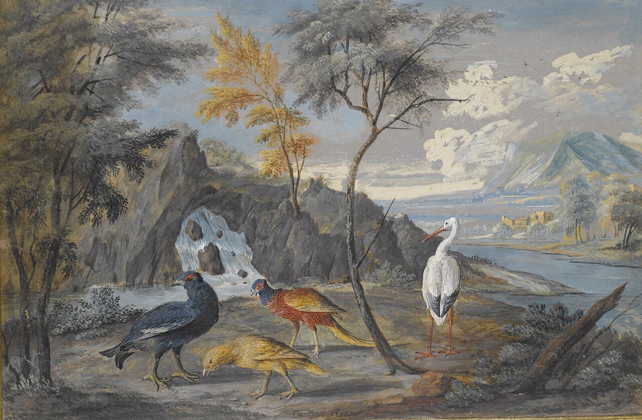 https://upload.wikimedia.org/wikipedia/commons/thumb/d/d6/Royen_II%2C_Willem_van_-_A_stork%2C_a_pheasant%2C_a_blackcock_and_another_bird_in_a_landscape.jpg/1280px-Royen_II%2C_Willem_van_-_A_stork%2C_a_pheasant%2C_a_blackcock_and_another_bird_in_a_landscape.jpg