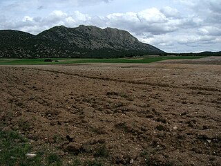 <span class="mw-page-title-main">Rubielos de la Cérida</span> Place in Aragon, Spain