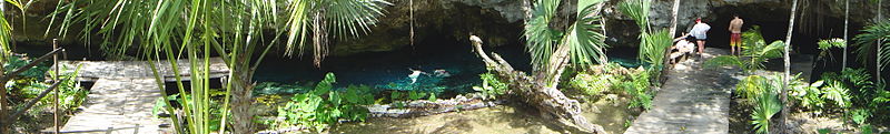 File:Sac Aktun - Grand Cenote (5496254978).jpg