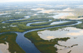 Parc national du delta du Saloum.