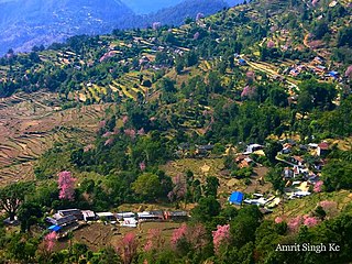 <span class="mw-page-title-main">Salyan, Kaski</span> Annapurna Village Council in Gandaki Zone, Nepal