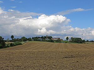 Scheersberg from the south