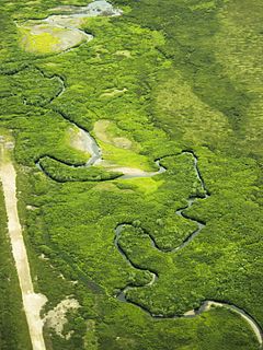 Serpentine River (Alaska) river in the United States of America