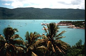 Shute Harbour.JPG