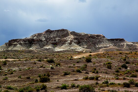 Habitat of Pediocactus sileri in Washington County, Utah