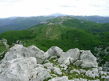 Snježnik