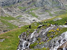 La sorgente sopra il Pian della Mussa