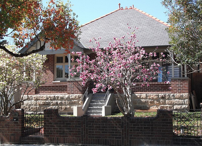 File:Spring arrives at 53 Dudley St Haberfield 023-M.jpg