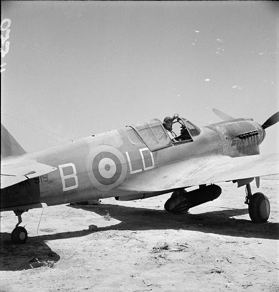 File:Squadron Leader Judd of 250 Squadron RAF Egypt IWM CM 3136.jpg