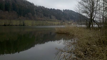 Stallauer Weiher