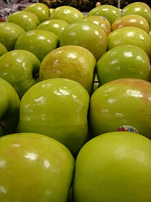 Granny Smith apples Starr 070730-7804 Malus pumila.jpg