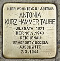 Stolperstein für Antonia Kurz Hammer Taube (Merano).jpg