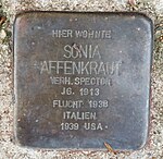 Stolperstein für Sonja Affenkraut