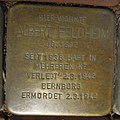 image=File:Stolperstein in Castrop-Rauxel Biesenkamp 32 für Albert Feldheim.jpg