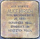 Stolpersteine Alzey Alice Hirsch.jpg