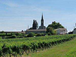 Habiter à Saint-Quentin-de-Caplong