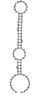 Consensus structure of TB10Cs3H1 TB10Cs3H1 snoRNA.PNG