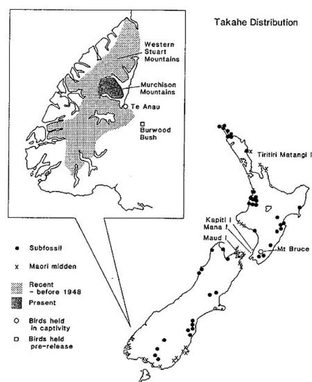 Takahe repartition.JPG