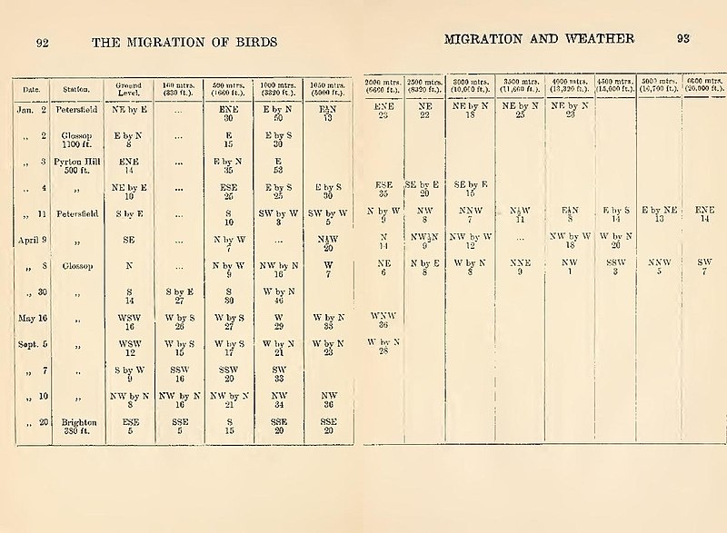 File:The Migration of Birds - Thomas A Coward - table from pages 92 + 93.jpg