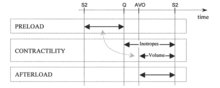 Fig.6: Timing considerations of working effects of preload, contractility (pharmacological = inotropes, and mechanical = Frank-Starling mechanism, i.e., effects of intravascular volume) and afterload in respect to Systolic and Diastolic Time Intervals: Diastole => Starts at S2-time, ends at Q-time. Systole => Isovolumic phase starts at Q-time, ends at AVO-time; Ejection phase starts at AVO-time, ends at S2-time. (S2 = 2nd heart sound = aortic valve closure; AVO = aortic valve opening) Timing considerations of hemodynamic modulation.png
