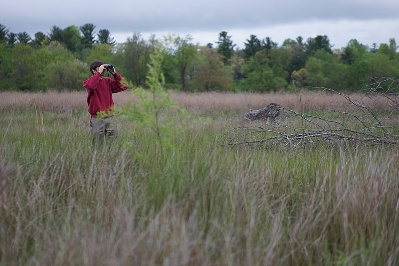 File:Tom Fanslow spies a bird (8705435670).jpg