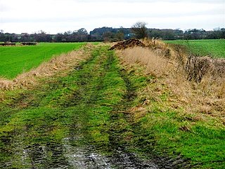 <span class="mw-page-title-main">Sexhow</span> Hamlet and civil parish in North Yorkshire, England